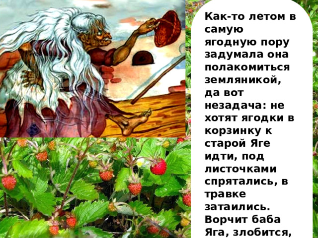 Сказку ягоды. Сказка про ягоды. Рассказа: “Ягодная сказка”. Сказка ягодные адреса. Здравствуй ягода.