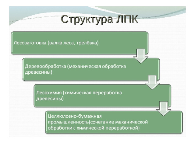 Схема лесной отрасли