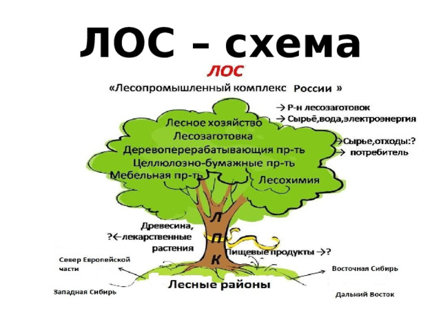 Схема лесопромышленного комплекса