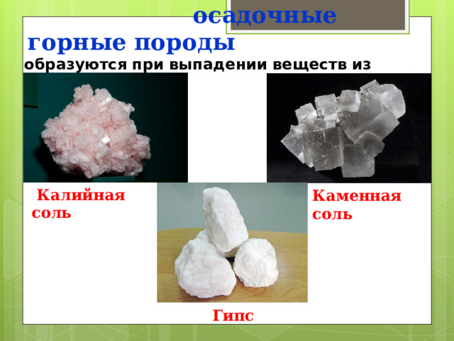  Химические   осадочные горные породы образуются при выпадении веществ из растворов  Калийная соль Каменная соль Гипс 