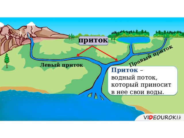 Правый приток приток Левый приток Приток – водный поток, который приносит в нее свои воды. 5 