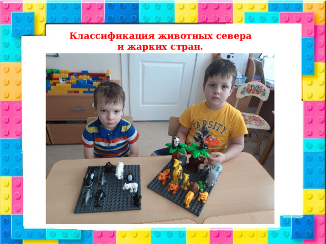 Классификация животных севера и жарких стран. 