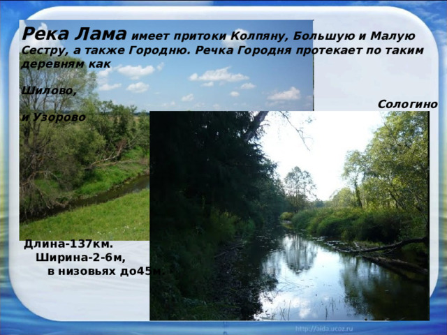 Река Лама имеет притоки Колпяну, Большую и Малую Сестру, а также Городню. Речка Городня протекает по таким деревням как  Шилово,  Сологино и Узорово . Длина-137км.  Ширина-2-6м,  в низовьях до45м.  