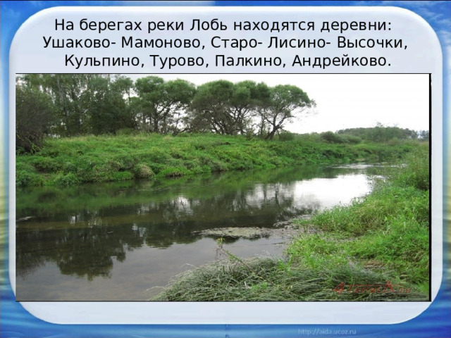 На берегах реки Лобь находятся деревни:  Ушаково- Мамоново, Старо- Лисино- Высочки,  Кульпино, Турово, Палкино, Андрейково. 