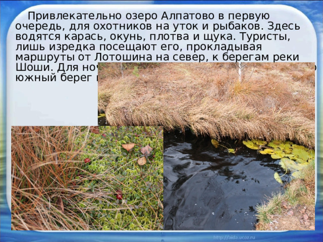  Привлекательно озеро Алпатово в первую очередь, для охотников на уток и рыбаков. Здесь водятся карась, окунь, плотва и щука. Туристы, лишь изредка посещают его, прокладывая маршруты от Лотошина на север, к берегам реки Шоши. Для ночевки, и то с трудом, пригоден только южный берег водоема.   