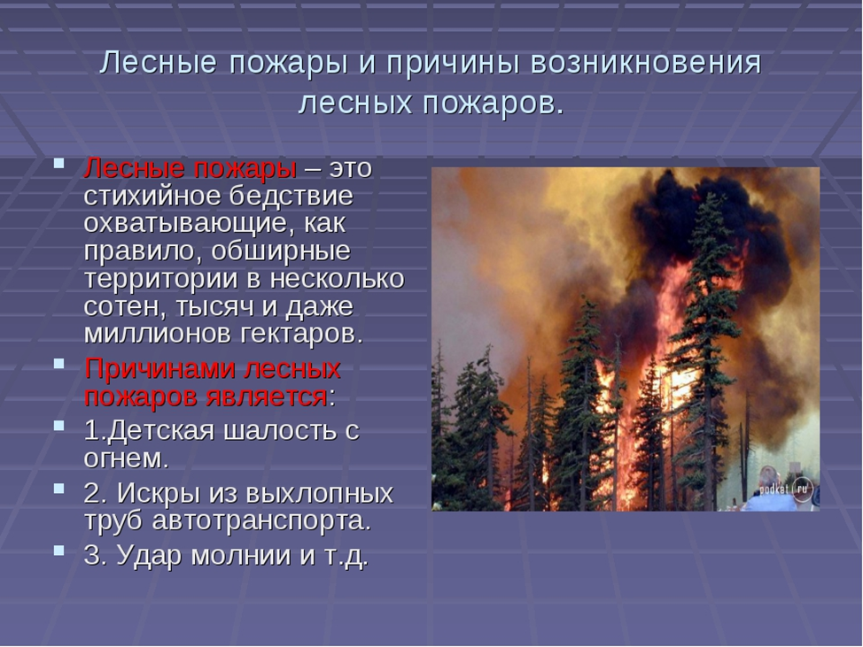 Каковы основные возникновения лесных пожаров. Причины природных пожаров. Причины лесных пожаров. Причины появления лесных пожаров. Причины возникновения лесных пожаров.