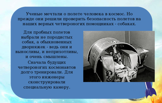 Ученые мечтали о полете человека в космос. Но прежде они решили проверить безопасность полетов на наших верных четвероногих помощниках - собаках. Для пробных полетов выбрали не породистых собак, а обыкновенных дворняжек - ведь они и выносливы, и неприхотливы, и очень смышлены. Сначала будущих четвероногих космонавтов долго тренировали. Для этого инженеры сконструировали специальную камеру . 