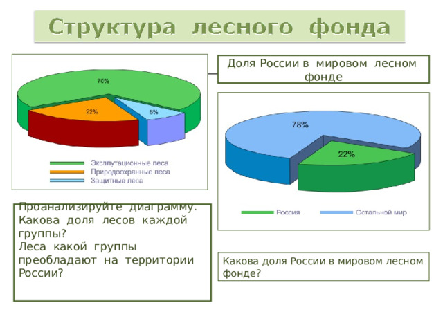 Доля России в мировом лесном фонде Проанализируйте диаграмму. Какова доля лесов каждой группы? Леса какой группы преобладают на территории России? Какова доля России в мировом лесном фонде? 