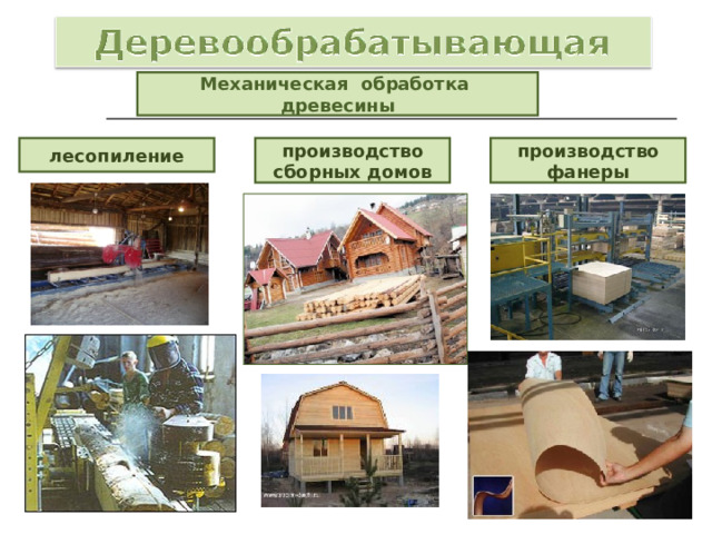 Механическая обработка древесины лесопиление производство сборных домов производство фанеры 
