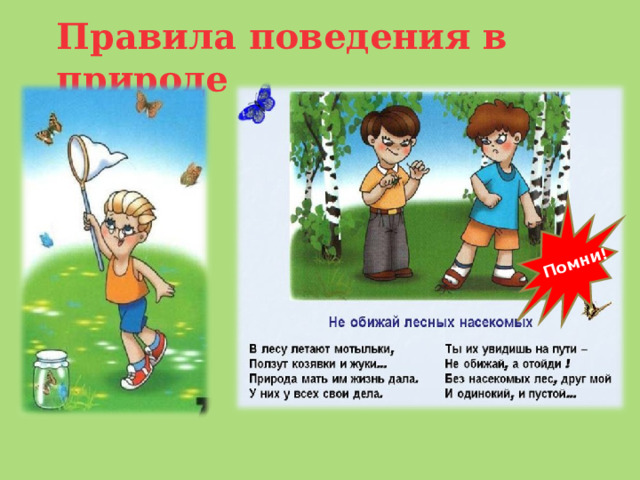 Будь природе другом презентация