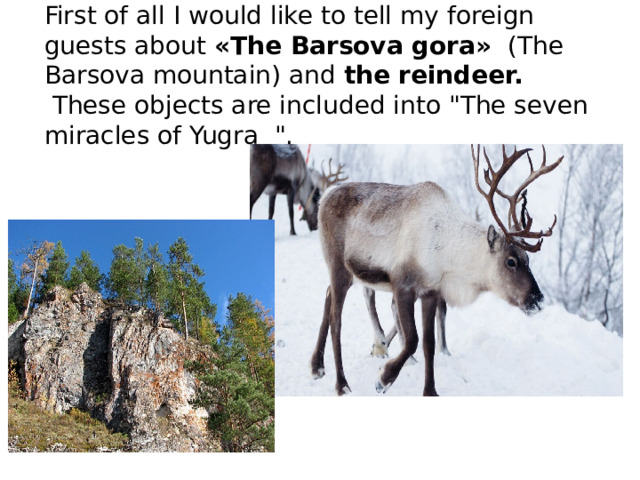 First of all I would like to tell my foreign guests about «The Barsova gora» (The Barsova mountain) and the  reindeer.   These objects are included into 
