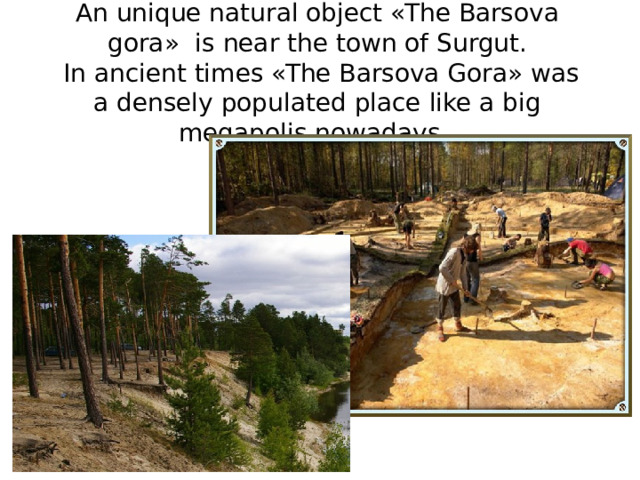 An unique natural object «The Barsova gora» is near the town of Surgut.  In ancient times «The Barsova Gora» was a densely populated place like a big megapolis nowadays.   