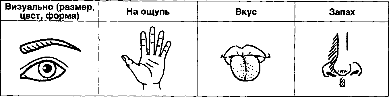 Схема описания человека для детей
