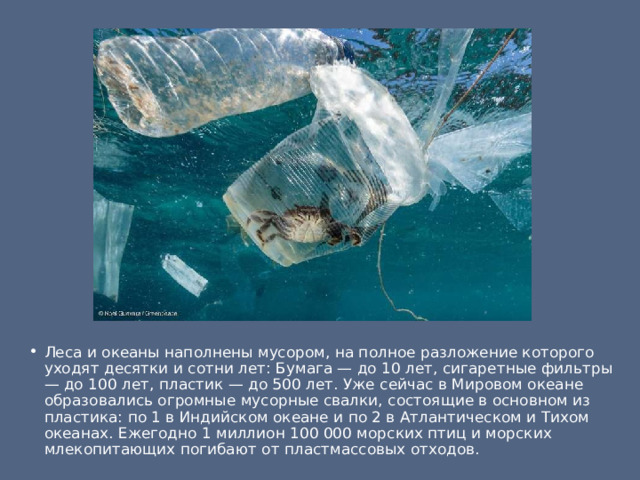 Леса и океаны наполнены мусором, на полное разложение которого уходят десятки и сотни лет: Бумага — до 10 лет, сигаретные фильтры — до 100 лет, пластик — до 500 лет. Уже сейчас в Мировом океане образовались огромные мусорные свалки, состоящие в основном из пластика: по 1 в Индийском океане и по 2 в Атлантическом и Тихом океанах. Ежегодно 1 миллион 100 000 морских птиц и морских млекопитающих погибают от пластмассовых отходов. 
