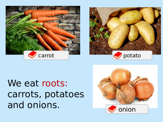 carrot potato We eat roots: carrots, potatoes and onions. onion 