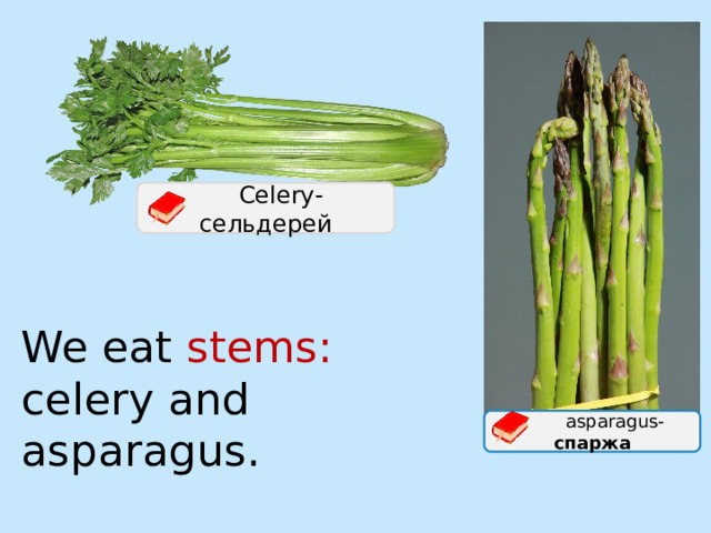  Celery - сельдерей We eat stems: celery and asparagus.  аsparagus - спаржа 