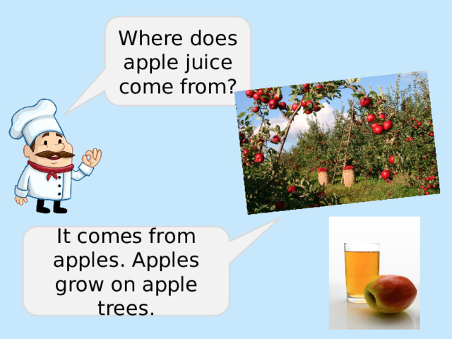 Where does apple juice come from? It comes from apples. Apples grow on apple trees. 