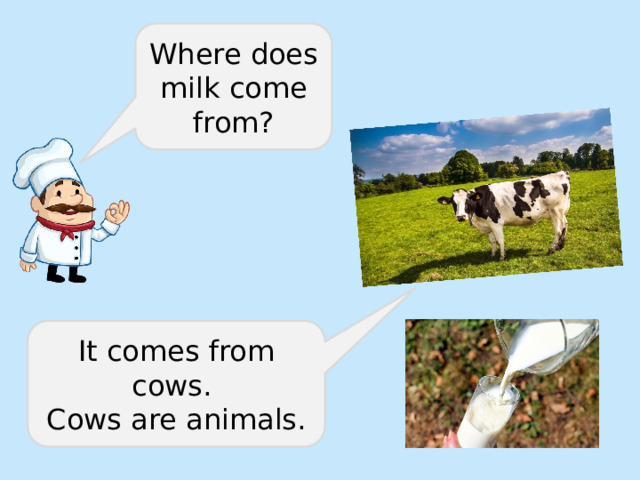 Where does milk come from? It comes from cows. Cows are animals. 