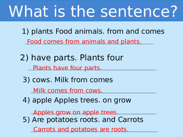 What is the sentence? 1) plants Food animals. from and comes Food comes from animals and plants. 2) have parts. Plants four Plants have four parts. 3) cows. Milk from comes Milk comes from cows. 4) apple Apples trees. on grow Apples grow on apple trees. 5) Are potatoes roots. and Carrots Carrots and potatoes are roots. 