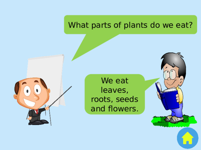 What parts of plants do we eat? We eat leaves, roots, seeds and flowers. 