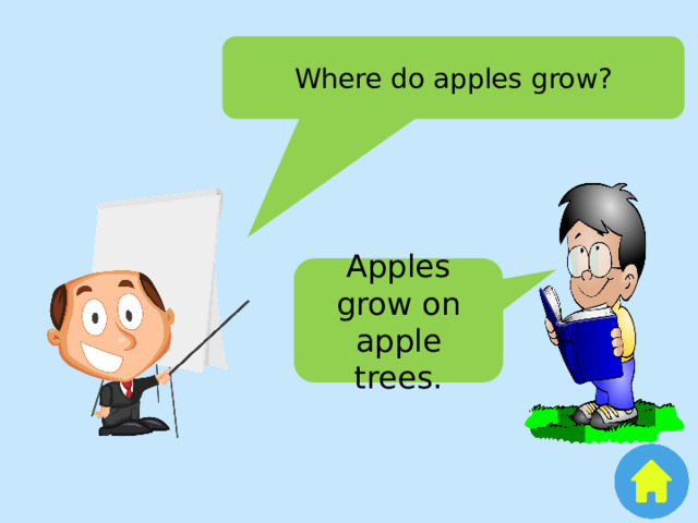 Where do apples grow? Apples grow on apple trees. 
