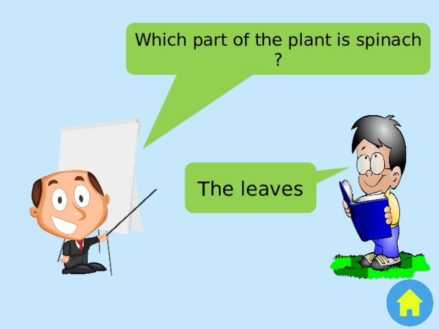 Which part of the plant is spinach ? The leaves 