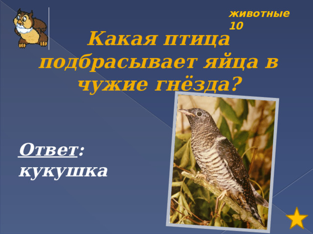 животные 10 Какая птица подбрасывает яйца в чужие гнёзда? Ответ : кукушка 