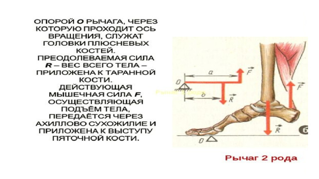 Указатели рода тяги в каком приложении