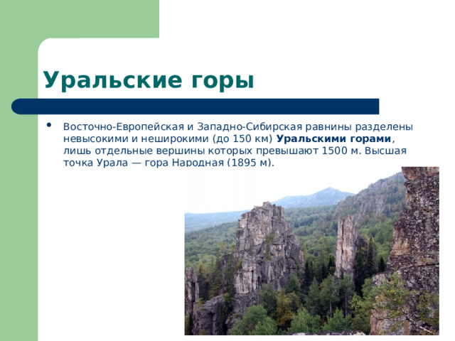 Уральские горы Восточно-Европейская и Западно-Сибирская равнины разделены невысокими и неширокими (до 150 км) Уральскими горами , лишь отдельные вершины которых превышают 1500 м. Высшая точка Урала — гора Народная (1895 м). 