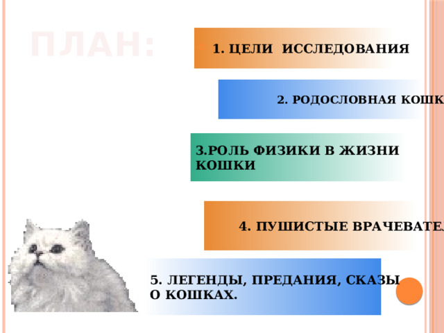 Исследовательский проект физика жизни кошки Презентация "Биомеханика кошки" по физике скачать проект