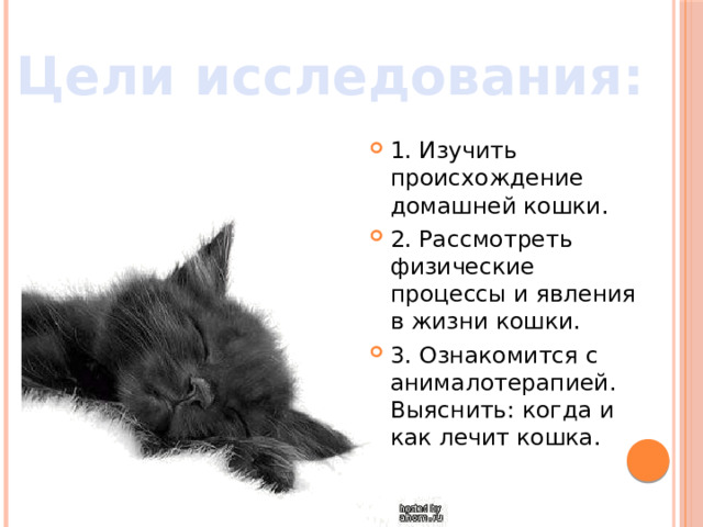 Исследовательский проект физика жизни кошки Разработка презентации "Физика в жизни кошки" физика, уроки