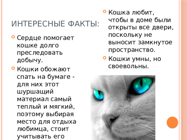 Исследовательский проект физика жизни кошки Презентация "Роль физики в жизни кошки" скачать проект