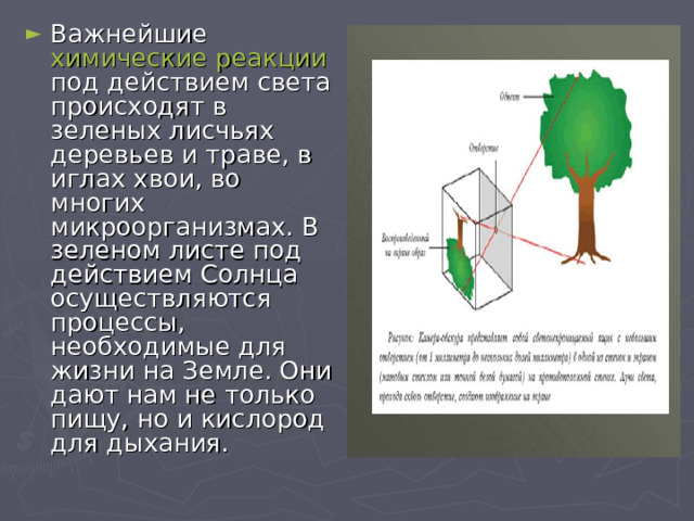 Действие света