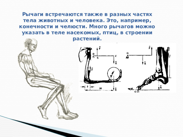 Рычаг в подъёмных кранах Плавучий кран Строительный кран Портальный кран 
