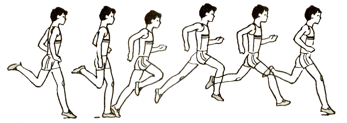 Эстафета состоит из 5 этапов. Бег по дистанции на 20 метров. Бег многоскоки техника выполнения. Техника бега по дистанции. Бег широким шагом.