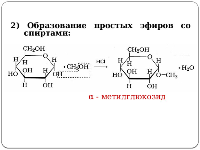 2) Образование простых эфиров со спиртами: α - метилглюкозид 2. Образование простых эфиров со спиртами: (слайд №18)   