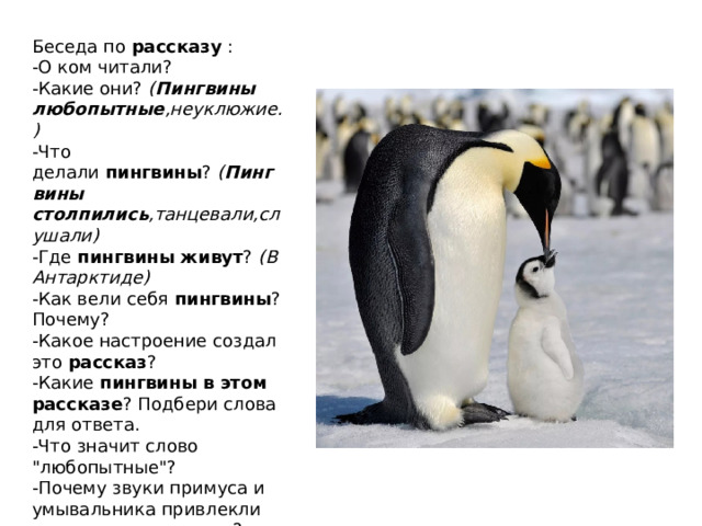 Пересказ про пингвинов. Изложение пингвины 3 класс. Озаглавить Текс про пингвинов. Что такое основная мысль текста 4 про пингвинов.