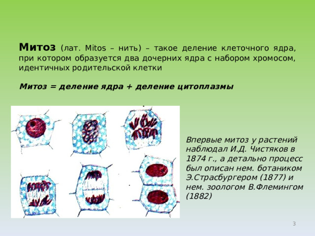 Митоз  ( лат. Mitos – нить) –  такое деление клеточного ядра, при котором образуется два дочерних ядра с набором хромосом, идентичных родительской клетки  Митоз = деление ядра + деление цитоплазмы Впервые митоз у растений наблюдал И.Д. Чистяков в 1874 г., а детально процесс был описан нем. ботаником Э.Страсбургером (1877) и нем. зоологом В.Флемингом (1882)  