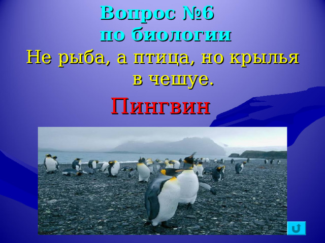 Вопрос №6  по биологии Не рыба, а птица, но крылья в чешуе. Пингвин  