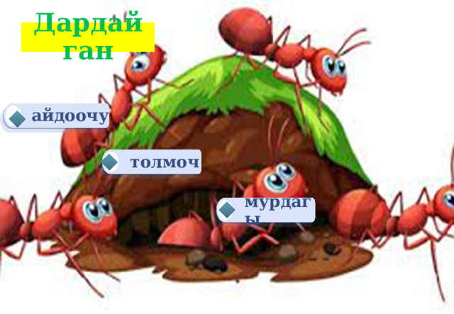 Дардайган айдоочу толмоч мурдагы 