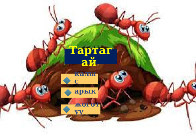 Тартагай калыс арык жоготуу 