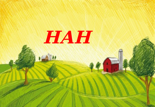 НАН 