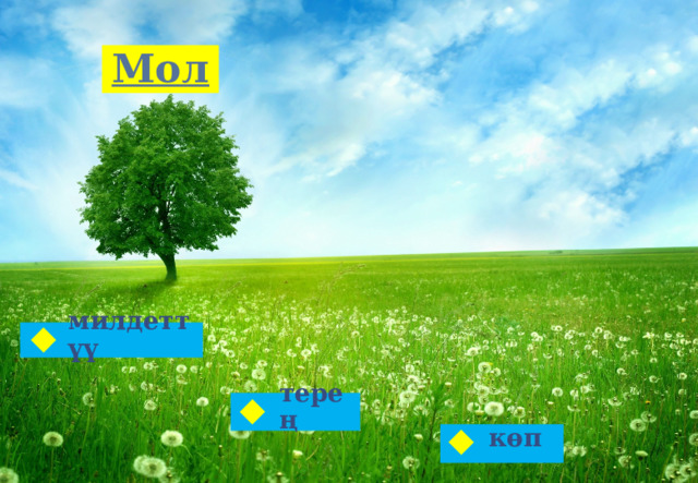 Мол милдеттүү терең көп 