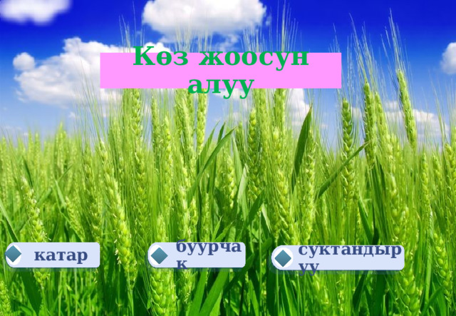 Көз жоосун алуу буурчак катар суктандыруу 