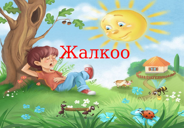 Жалкоо 
