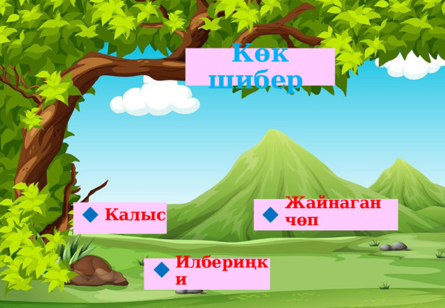 Көк шибер Жайнаган чөп Калыс   Илбериңки  