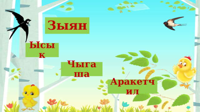 Зыян Ысык Чыгаша Аракетчил 