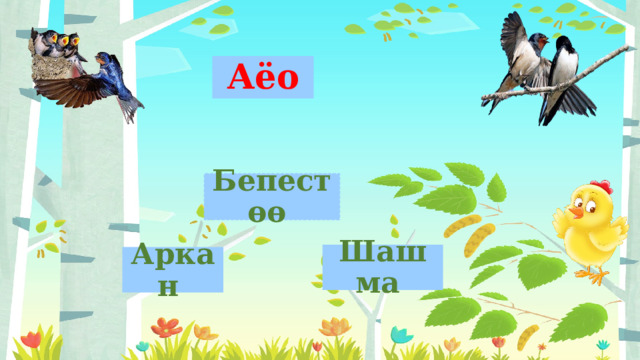 Аёо Бепестөө Шашма  Аркан  