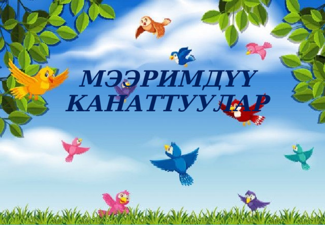 МЭЭРИМДҮҮ КАНАТТУУЛАР 