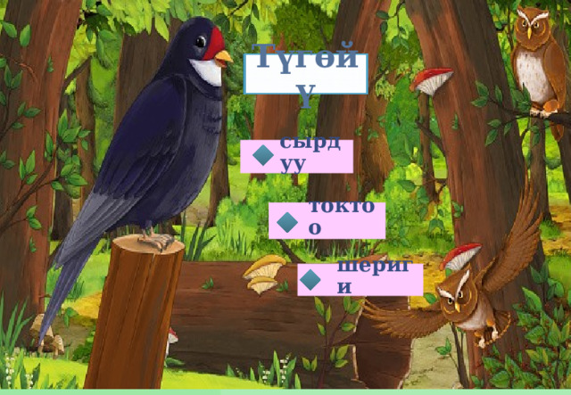 Түгөйү сырдуу токтоо шериги 